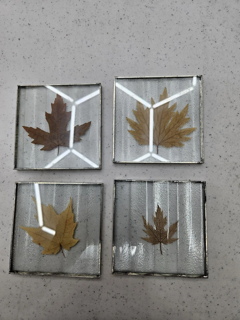 Vintage Set of 4 Coasters Leaves Preserved in Lucite Fall Autumn 4